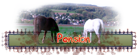 ico_pension